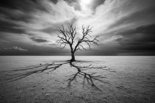 Destaque: "3 questões que criam melhores relações"